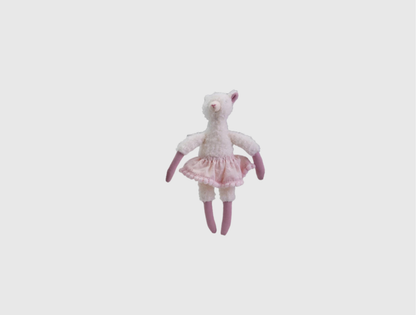 Llama in Clothes