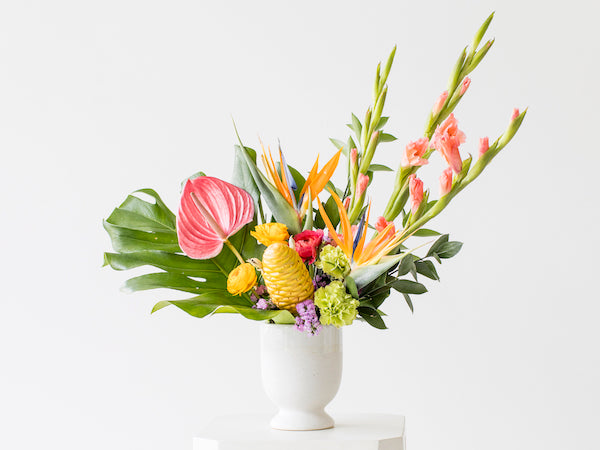 Tropical Designers Choice