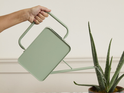 Region Watering Can