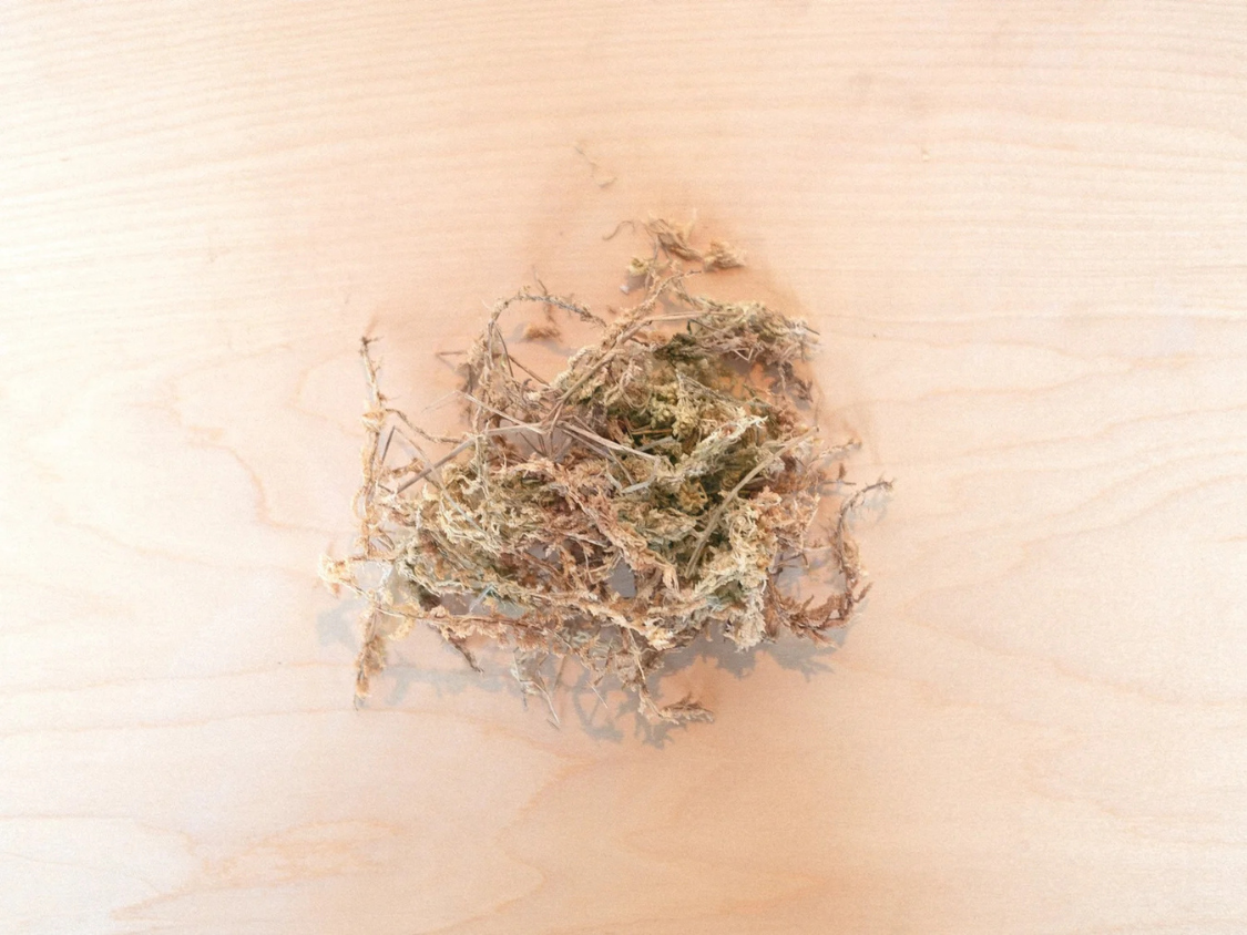 Sphagnum Moss - Small Bag