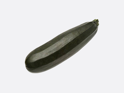 Schoepp Seeds - Zucchini Squash