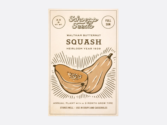 Schoepp Seeds - Butternut Squash