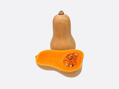 Schoepp Seeds - Butternut Squash