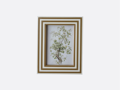 Striped Photo Frame - Striped