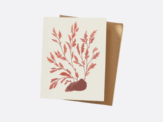 Seaweed - Everyday Card