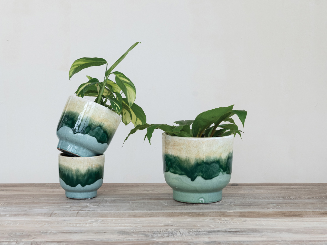 Terra-Cotta Planters