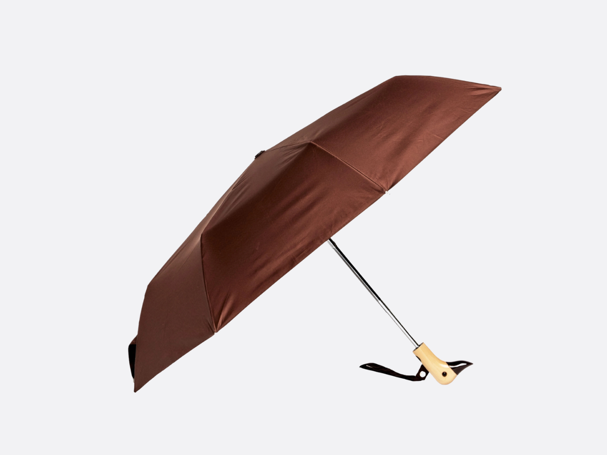 Duck Umbrella