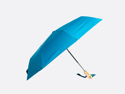 Duck Umbrella