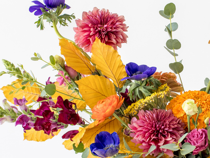 Vibrant Designer’s Choice Flower Arrangement