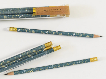 Pencil Terrarium Set