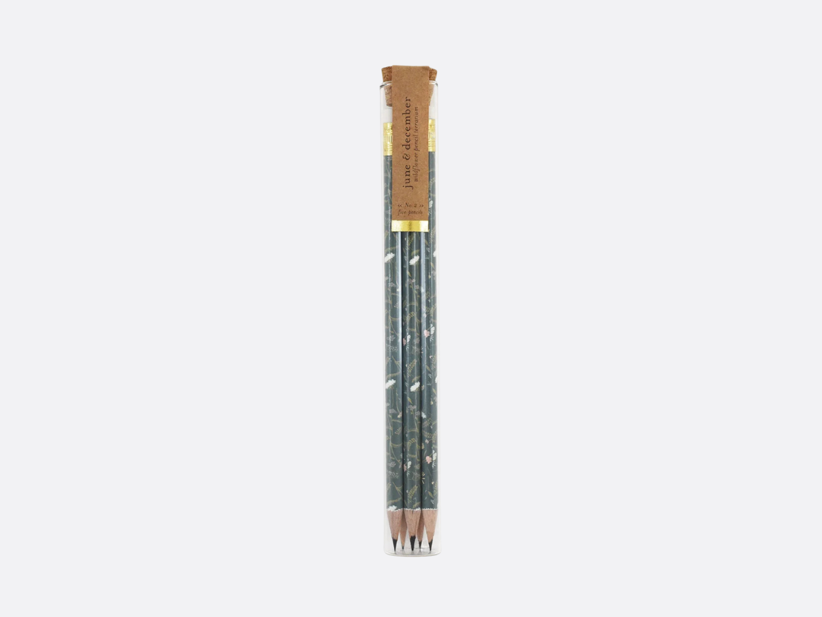Pencil Terrarium Set