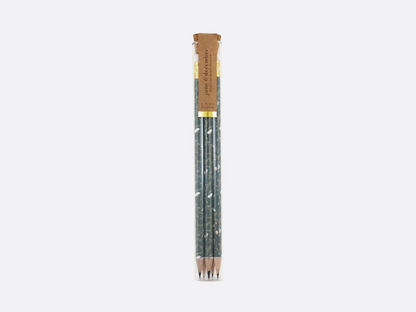 Pencil Terrarium Set