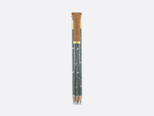 Pencil Terrarium Set