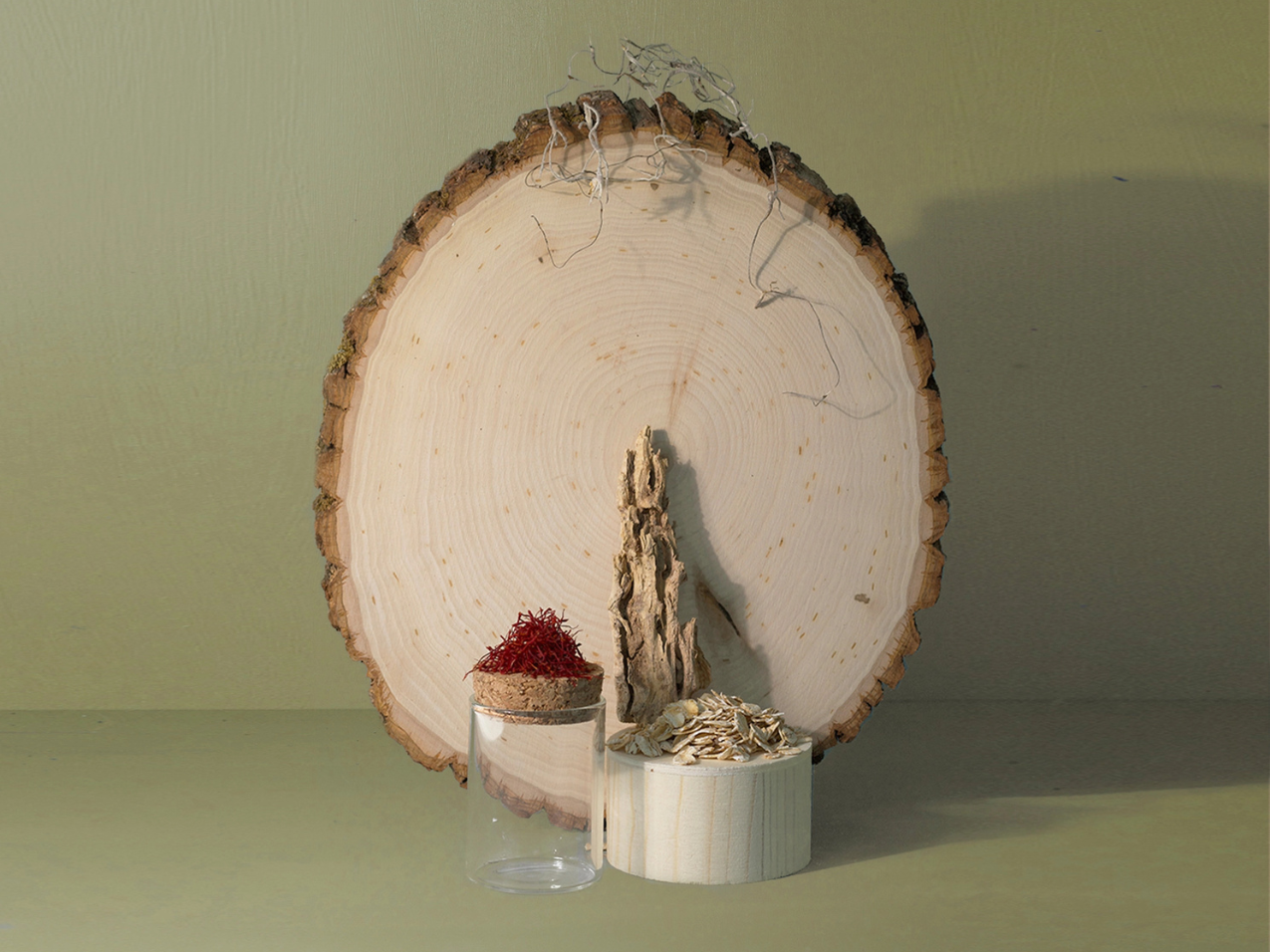 Woods Candle - 7.75oz