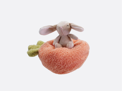 Plush Animal - Bunny in a Carrot