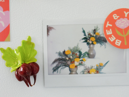 Handmade Magnet - Vegetable