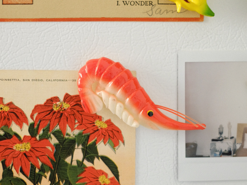 Handmade Magnet - Animal