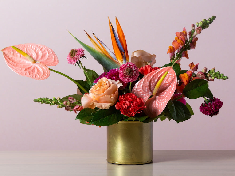 Tropical Designers Choice
