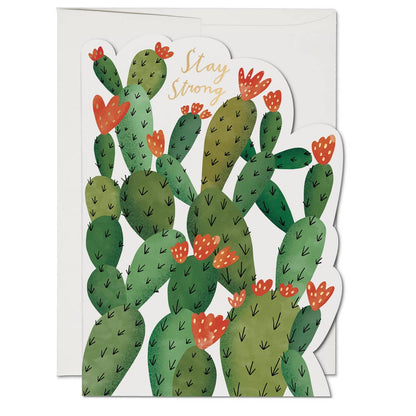 Red Cap Cards