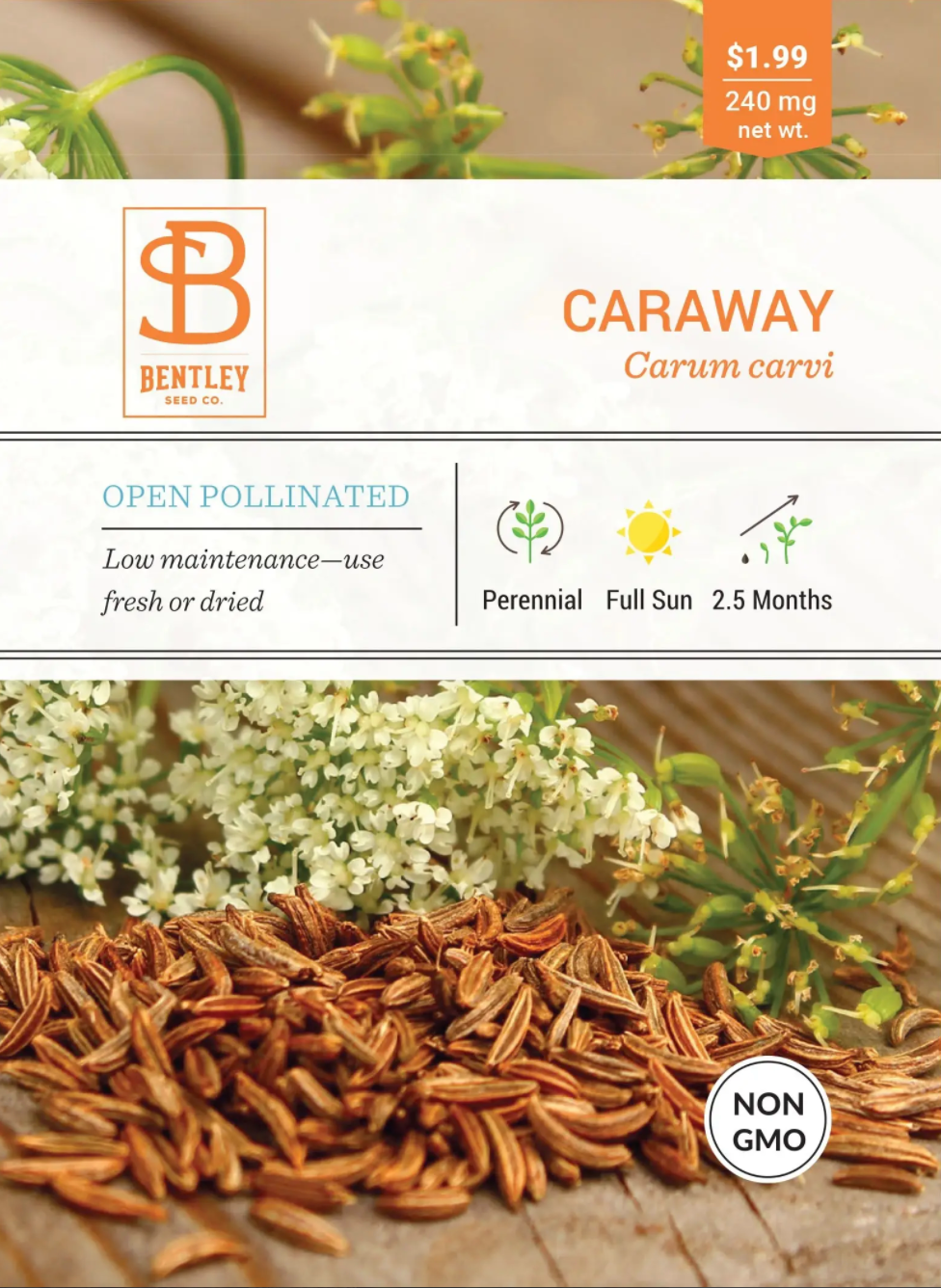 Bentley Seed Co.